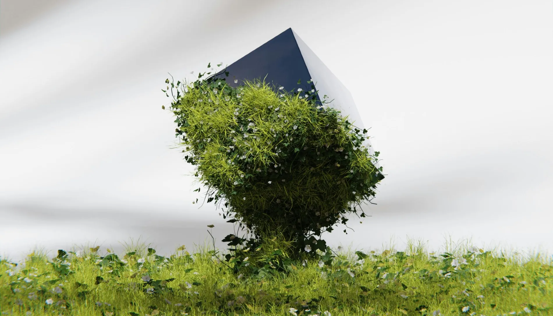 illustration nature et technique